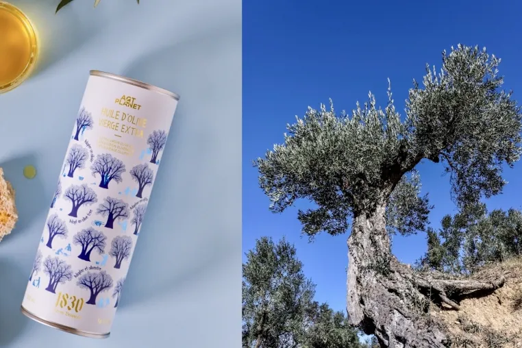 Bild: Rettung uralter Olivenbäume: Maison Brémond 1830 bringt exklusives Olivenöl aus Spanien nach Deutschland