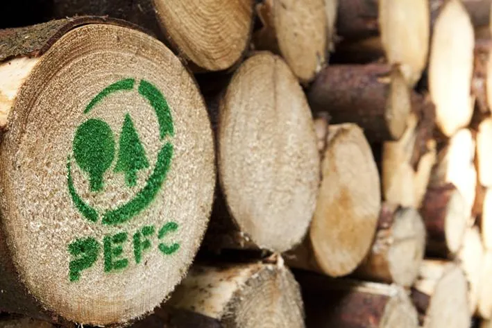 Bild: PEFC sucht die Waldhauptstadt 2012