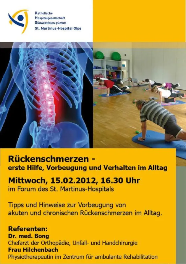 Das Plakat zur Veranstaltung am 15.02.12 mit Dr. Bong.