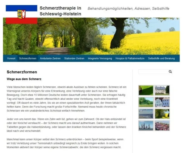 Bild: Neuer Schmerztherapieführer für Schleswig-Holstein im Internet