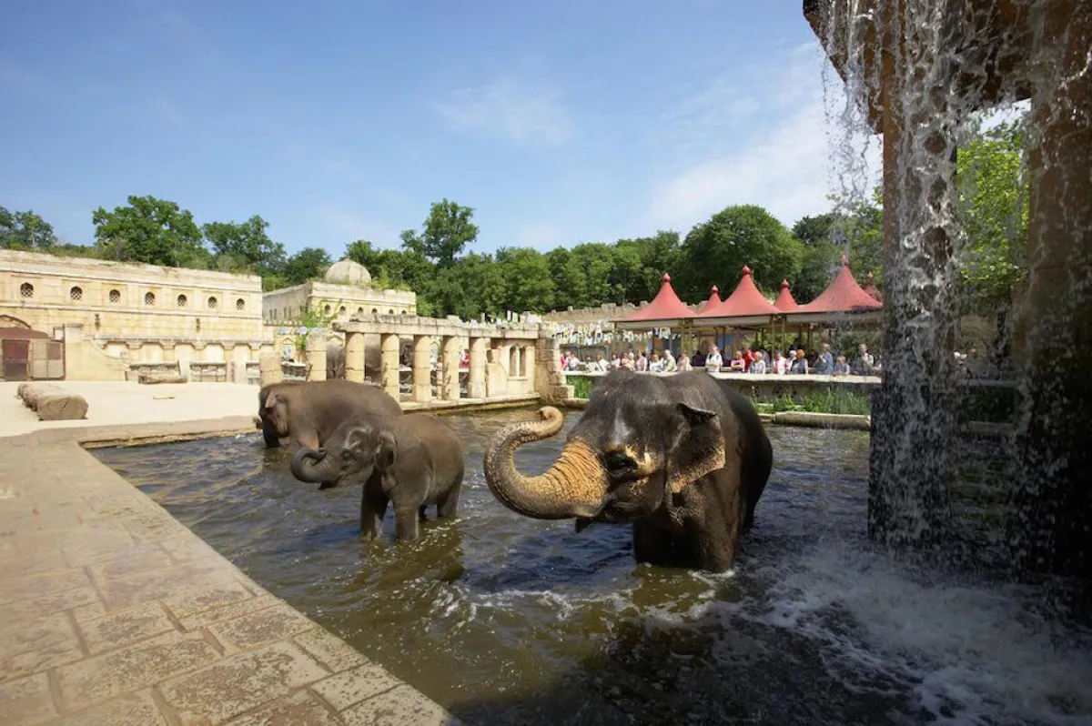 Der Dschungelpalast im Zoo Hannover wird mit IMSWARE instand gehalten ? Foto: Erlebniszoo Hannover