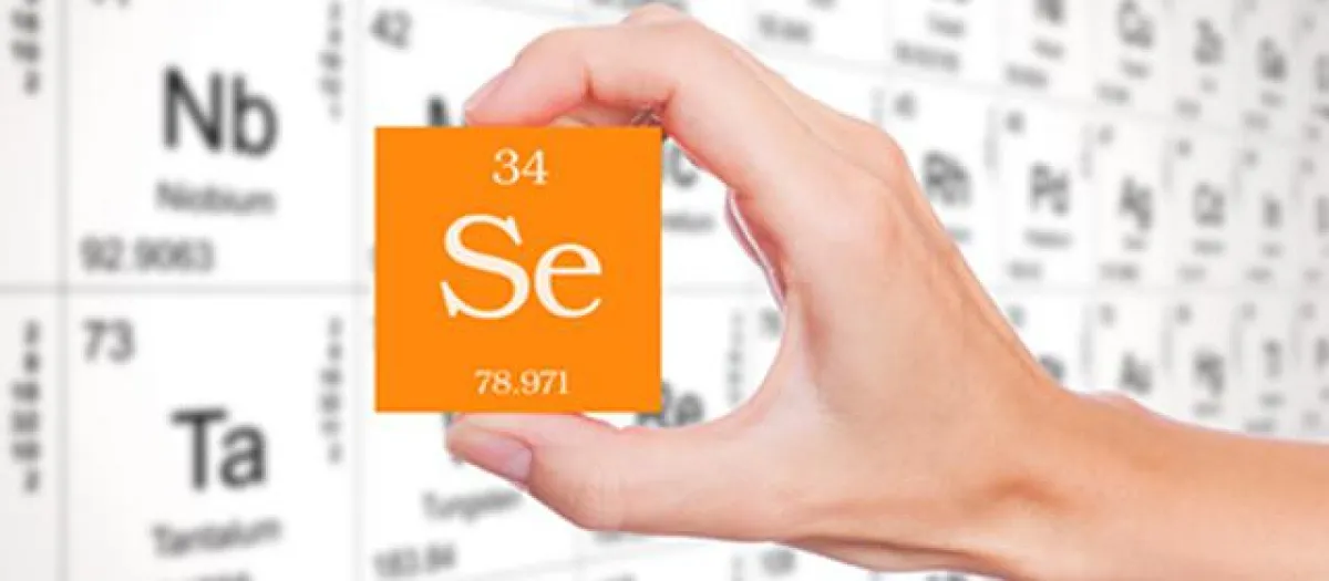 Der Selenbedarf unter der Lupe (Foto: concept w)