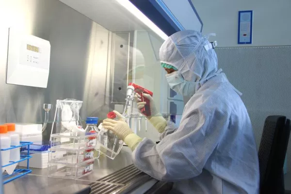 Mesenchymale Stromazellen: Auf der Suche nach dem individuellen Erste Hilfe-Set Bild: Mesenchymale Stromazellen: Auf der Suche nach dem individuellen Erste Hilfe-Set