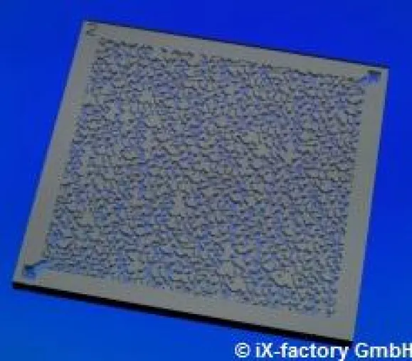 Bild: Wozu dienen Mikromodelle? Chips aus Glas und Silizium in praktischer Anwendung