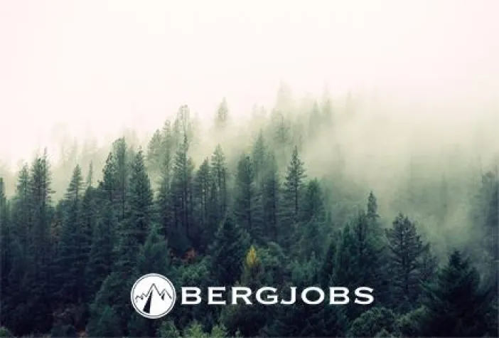 Beruf oder Berufung? Bild: Beruf oder Berufung?