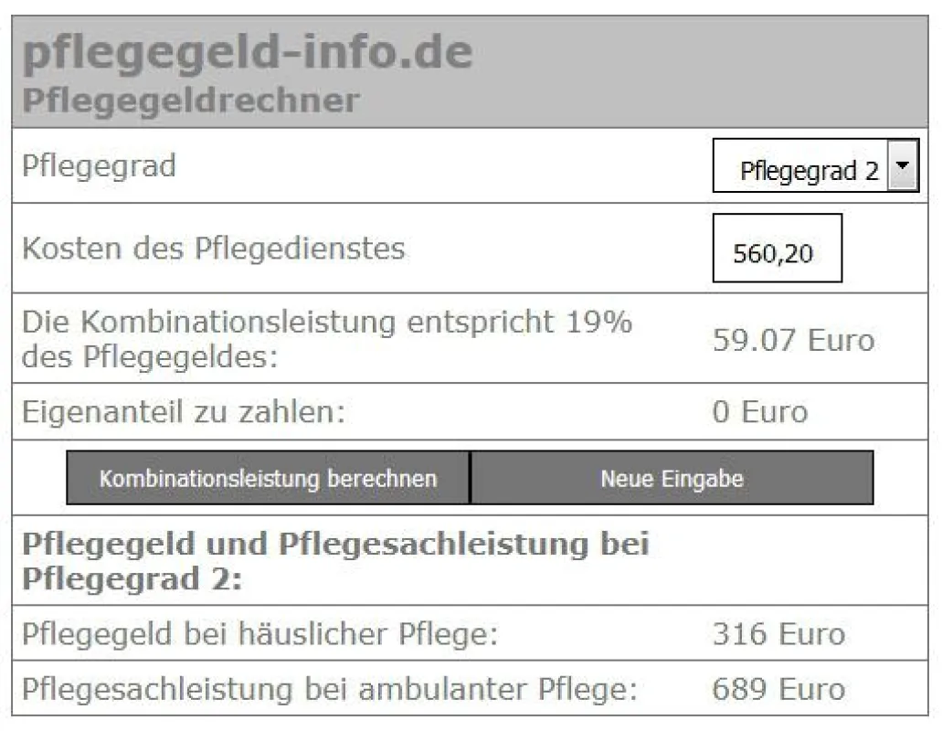 Ein Screenshot des Pflegegeldrechners.