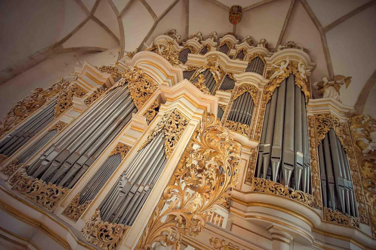 Merseburger Ladegastorgel. Foto: Vereinigte Domstifter, Falko Matte