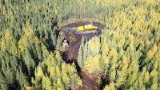 Mit Biden als neuer US-Präsident auf grüne Energie setzen Bild: Mit Biden als neuer US-Präsident auf grüne Energie setzen