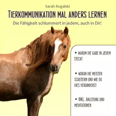 Bild: Das gab´s noch nicht – Hörbuch „Tierkommunikation mal anders lernen“ geht auf den Markt
