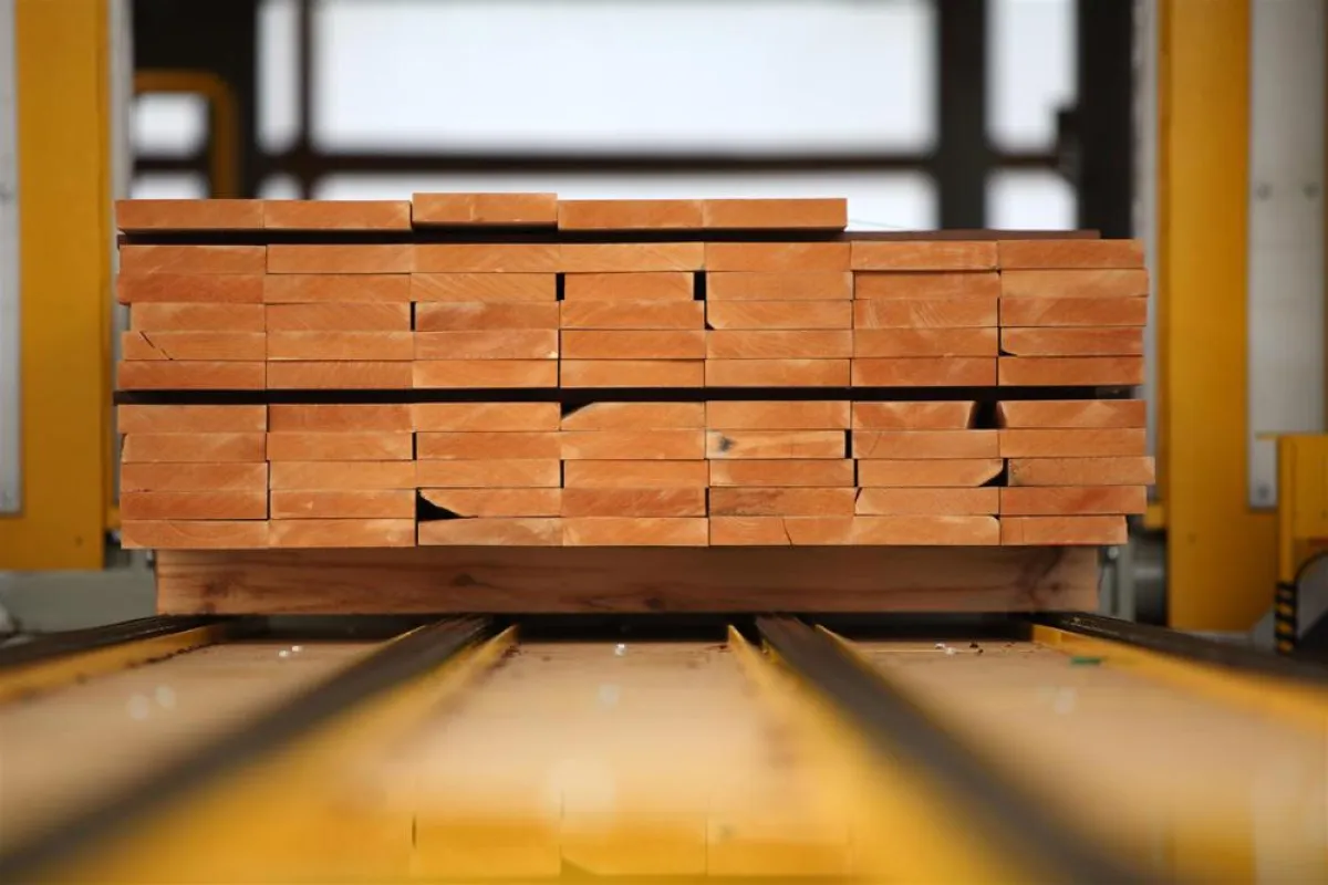 Holz in der Umstapelanlage der Firstwood GmbH