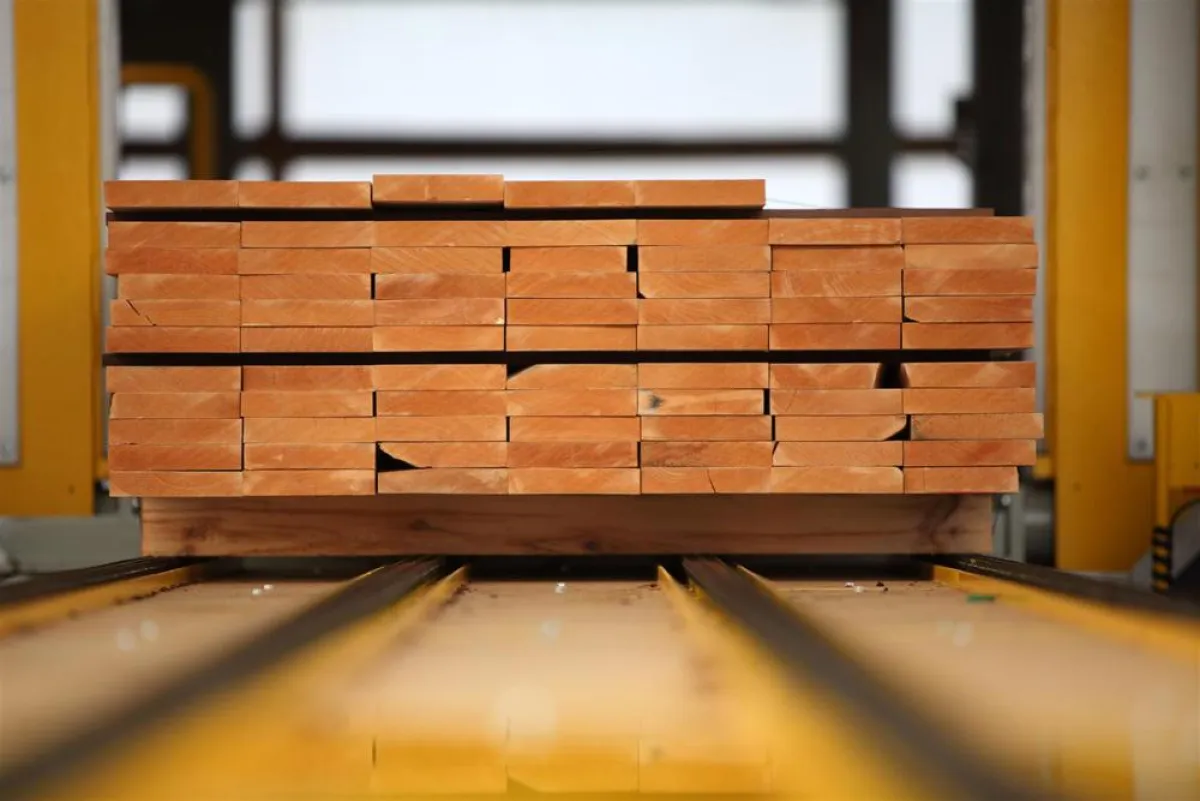 Holz in der Umstapelanlage der Firstwood GmbH