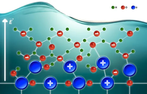 Verständnis der Katalysatoraktivität für die Produktion von grünem Wasserstoff Bild: Verständnis der Katalysatoraktivität für die Produktion von grünem Wasserstoff