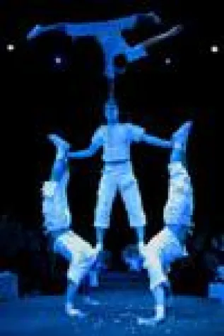 Bild: Kassel bekommt sein eigenes Circusfestival