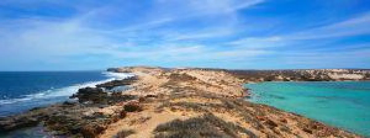 Surf Point Sanctury (c)Dirk Hartog Island Homestead