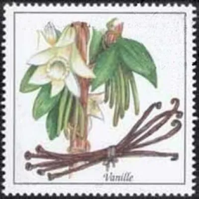 Bild: Die Geschichte der “schwarzen Blume”