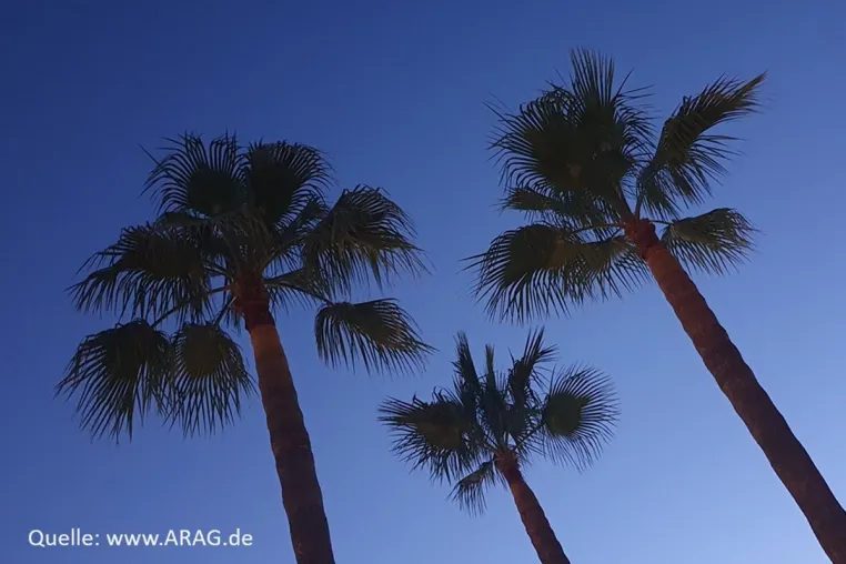 Bild: So geht Urlaub!