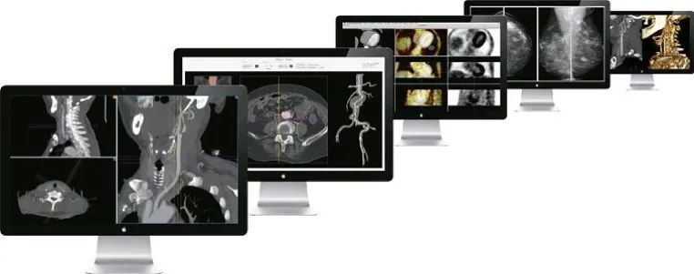 Bild: aycan auf dem ECR 2012 in Wien