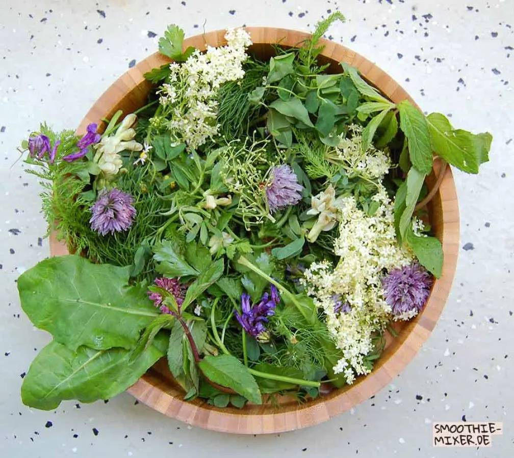 Frische Wildkräuter für einen grünen Smoothie / (c) smoothie-mixer.de