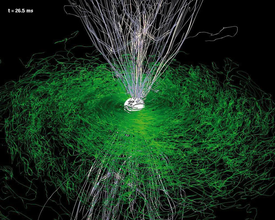 Magnetfeldlinien, nachdem der hypermassive Stern zu einem Schwarzen Loch kollabiert. Quelle: AEI/ZIB