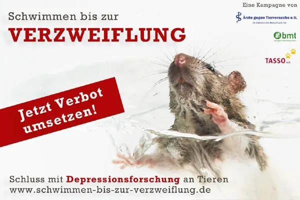 Internat.Tag zur Abschaffung der Tierversuche: Verbände fordern Schmerz-Leidens-Obergrenze Bild: Internat.Tag zur Abschaffung der Tierversuche: Verbände fordern Schmerz-Leidens-Obergrenze