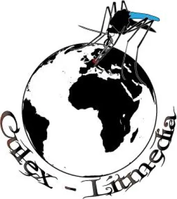 Bild: Culex – Litmedia – Kulturverlag und Performanceagentur