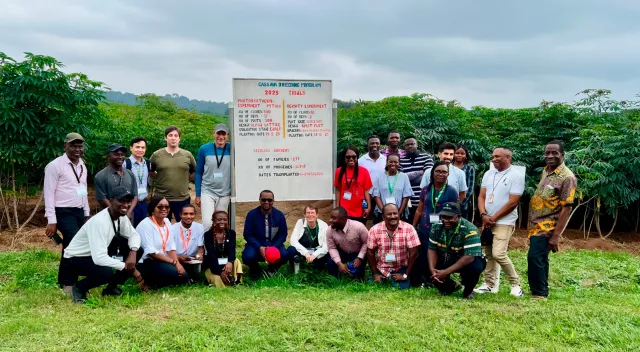 Bild: Biologie: neues internationales Forschungsprojekt - Verbesserung der Photosynthese in Maniok