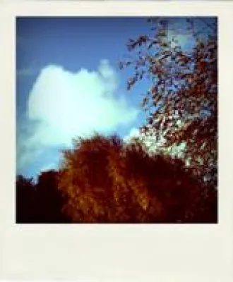 Bild: Gezielte Beeinflussung von Strömungsinstationaritäten im Focus der Weiterbildung