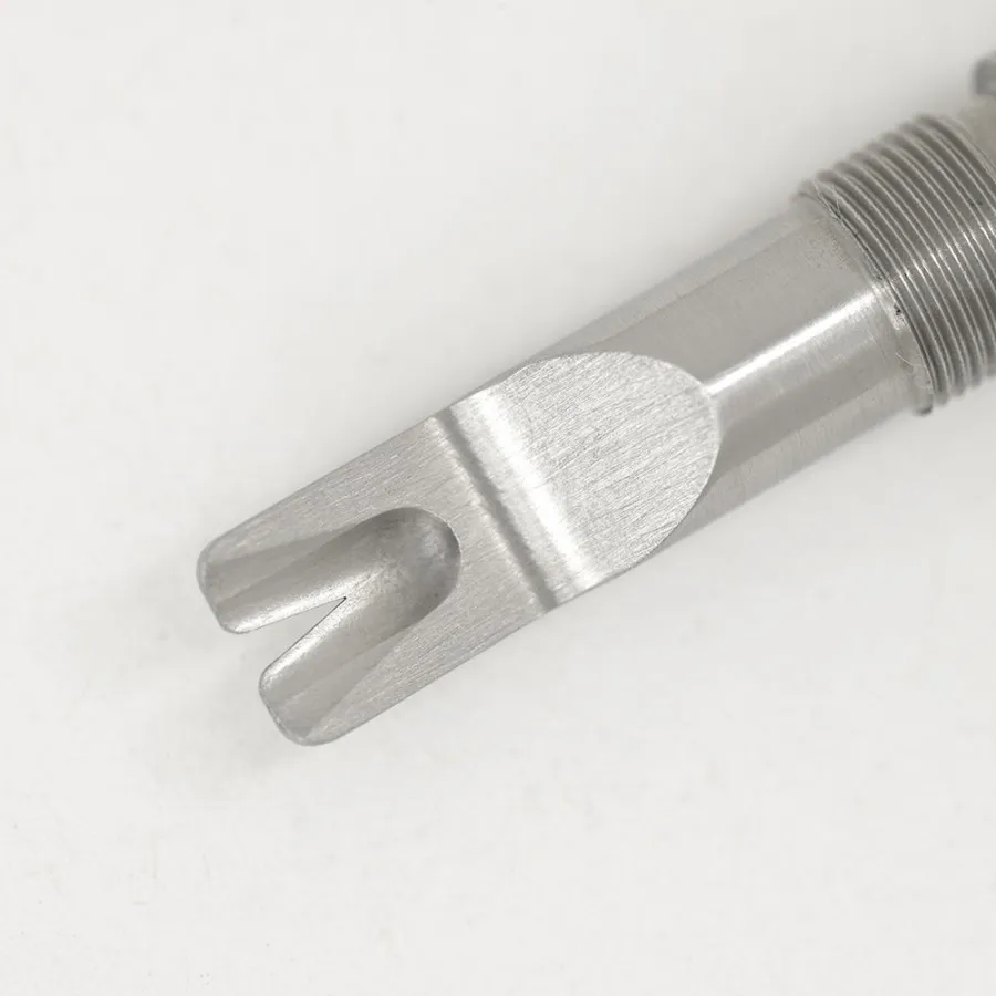 Zecken sicher entfernen