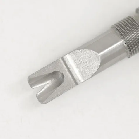 Zecken entfernen - aber richtig Bild: Zecken entfernen - aber richtig