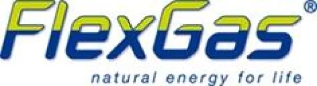 Neuer Anbieter FlexGas bringt Belebung in den Markt Bild: Neuer Anbieter FlexGas bringt Belebung in den Markt