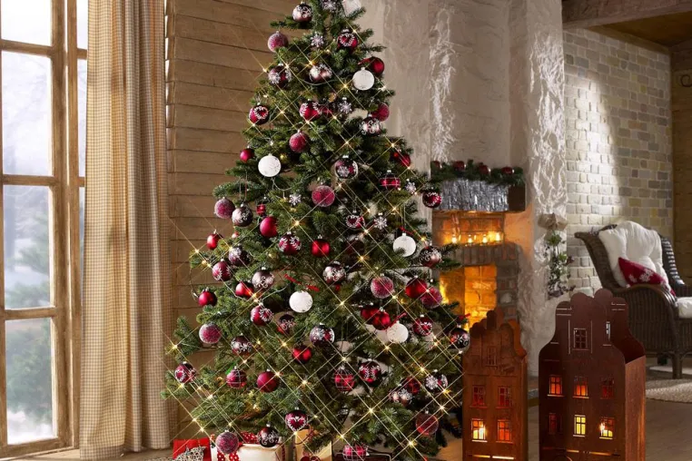 Lange frisch und grün: Die besten Tipps rund um den Weihnachtsbaum Bild: Lange frisch und grün: Die besten Tipps rund um den Weihnachtsbaum