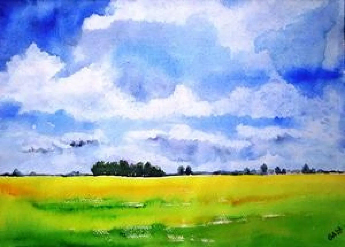 Wolkenhimmel über Rapsfeld