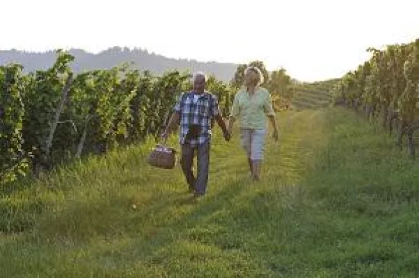 Bild: Mit dem Winzer in die Weinberge