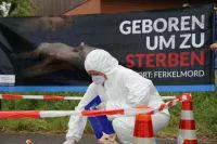 Ferkelzuchtbetrieb bei Bremen wird zum Tatort Bild: Ferkelzuchtbetrieb bei Bremen wird zum Tatort