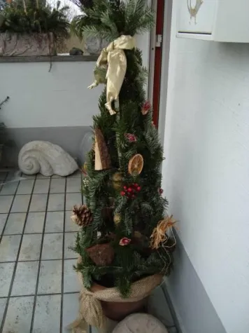 Bild: Neues Gartenportal startet mit Wintergartentipp