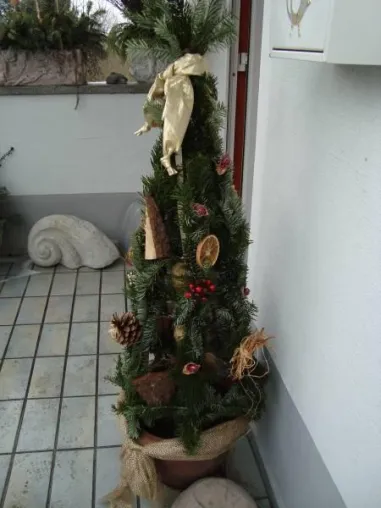 Bild: Neues Gartenportal startet mit Wintergartentipp