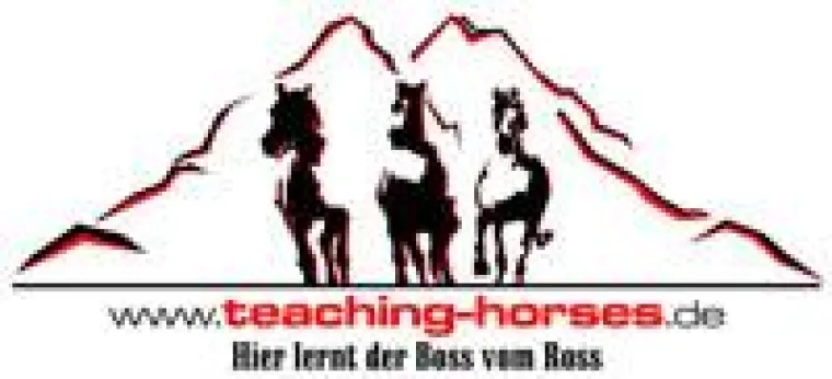 Bild: Teaching Horses bietet neue Teambildungs- und Teamentwicklungsseminare