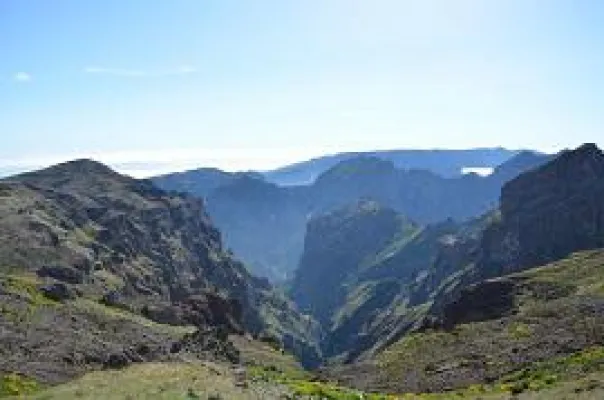 Europas Darling Bild: Europas Darling