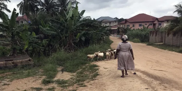 Bild: Schüleraustausch und Gap Year: 5 Punkte, warum Isabel ihren Freiwilligendienst in Ghana macht