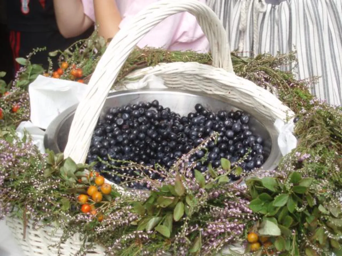 Heidelbeeren aus dem Enztal
