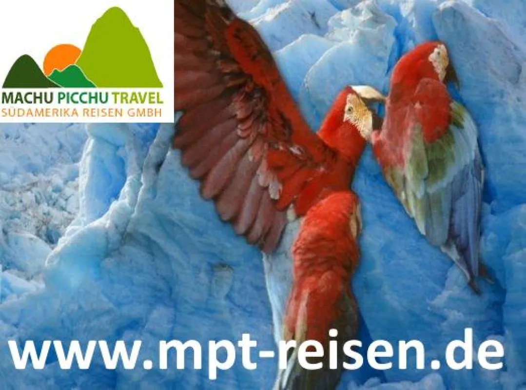 Papageien-Eislecke am Amazonas