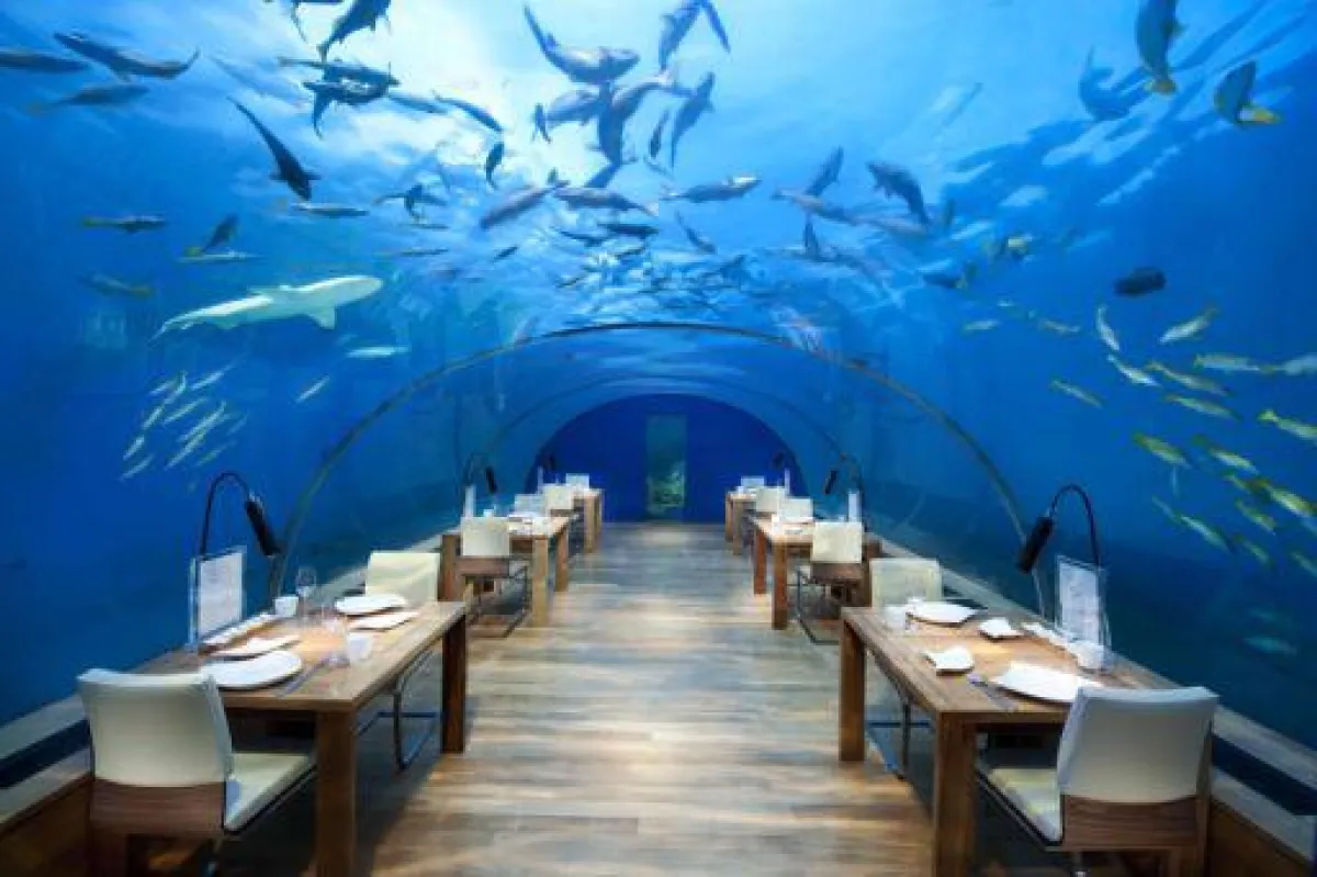 Ithaa Restaurant © 2015 Conrad Hotels & Resorts