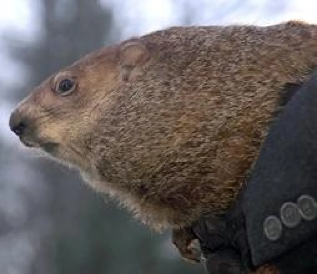 (c) FVA Pennsylvania