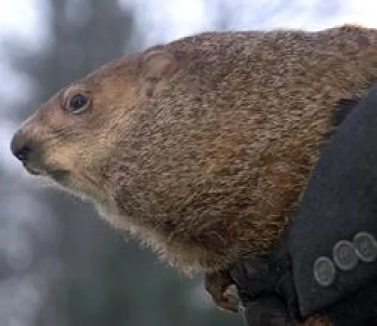 Bild: Groundhog Day in Pennsylvania
