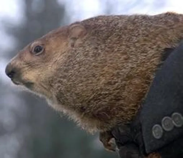 Groundhog Day in Pennsylvania Bild: Groundhog Day in Pennsylvania