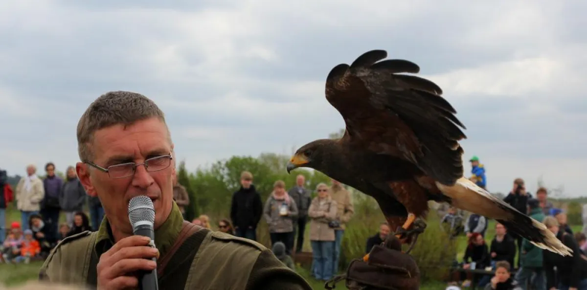 BronzeZeitGeist_Logo