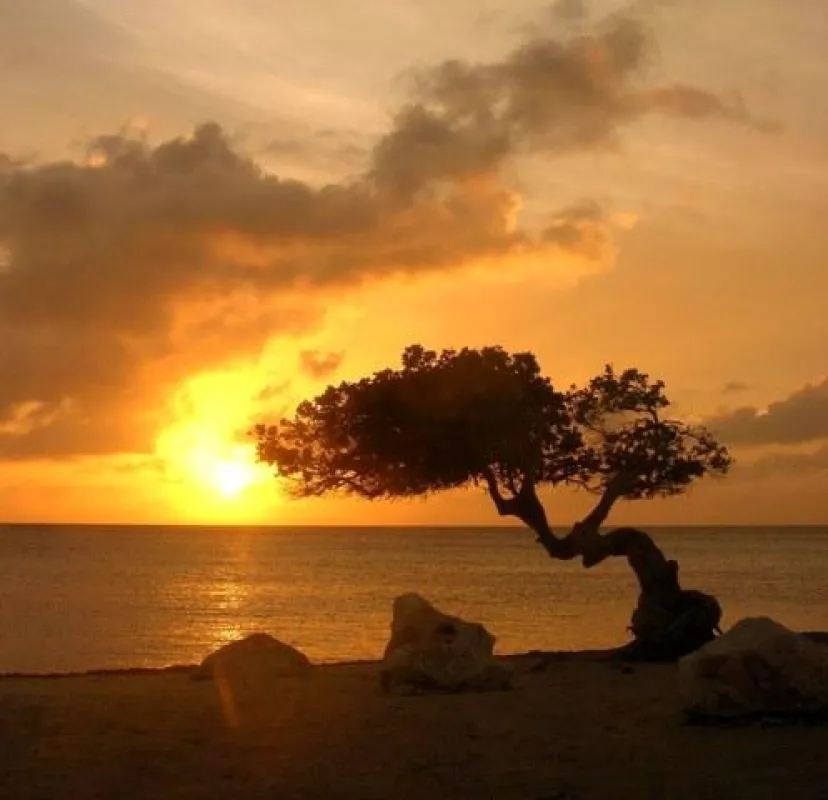 Romantisch: Aruba für Verliebte - nicht nur am Valentinstag (Foto: FVA Aruba)