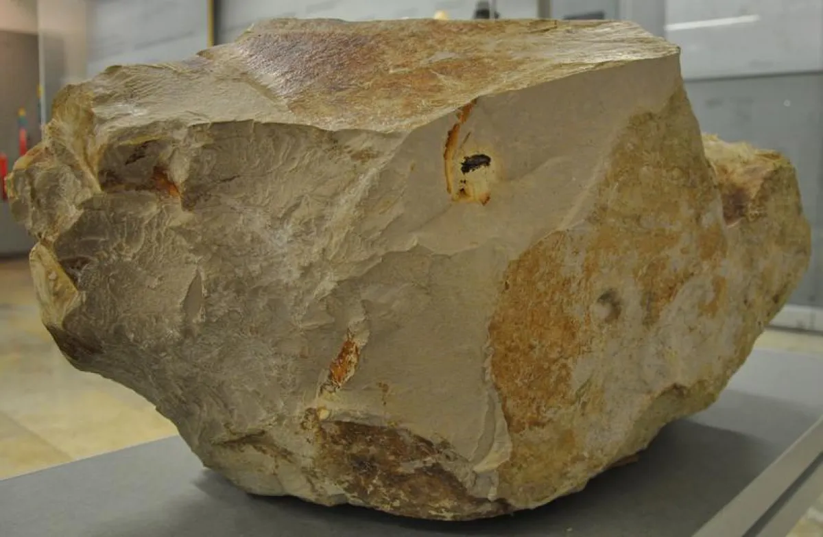 Der etwa einen Meter große Kalksteinblock mit Strahlenkegeln im Meteorkrater-Museum in Sontheim mit Resten des Steinheim-Meteoriten (dunkles Material oberhalb der Bildmitte). (Foto/Urhebervermerk: Mic