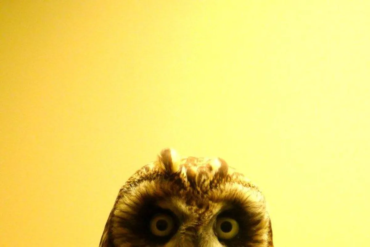 Marc Peschke | aus der Serie 