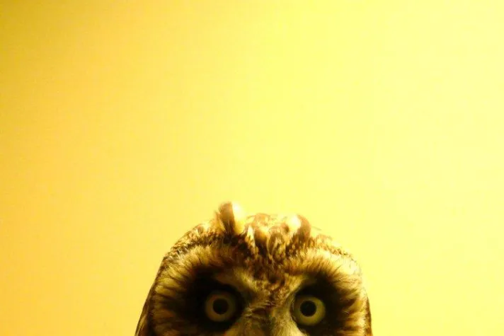 Bild: Neu: Fotokünstler Mark Peschke bei Elefant Art Space